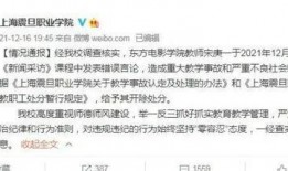 上海匿名新闻爆料事件视频,真相与疑云交织